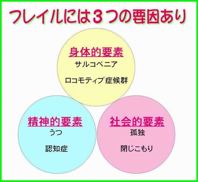 フレイル　3つの要因　高齢者の身体機能や認知機能