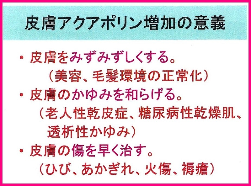 くまざさ　隈笹精　隈笹 アクアポリン