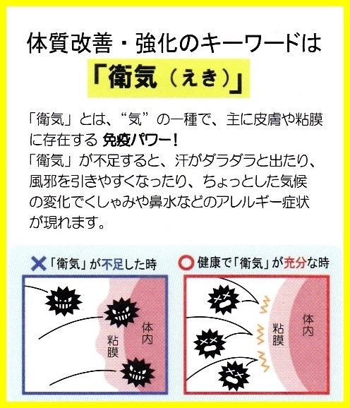 衛気　衛益顆粒　玉屏風散