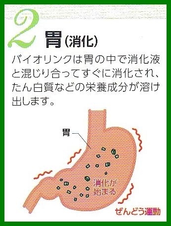 クロレラ　バイオリンク