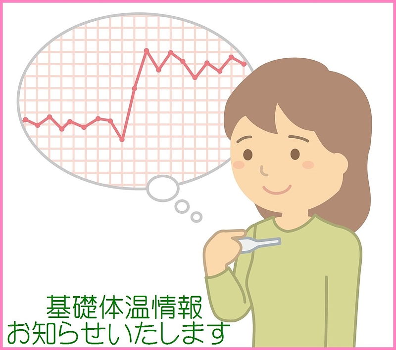 基礎体温　不妊　子宝