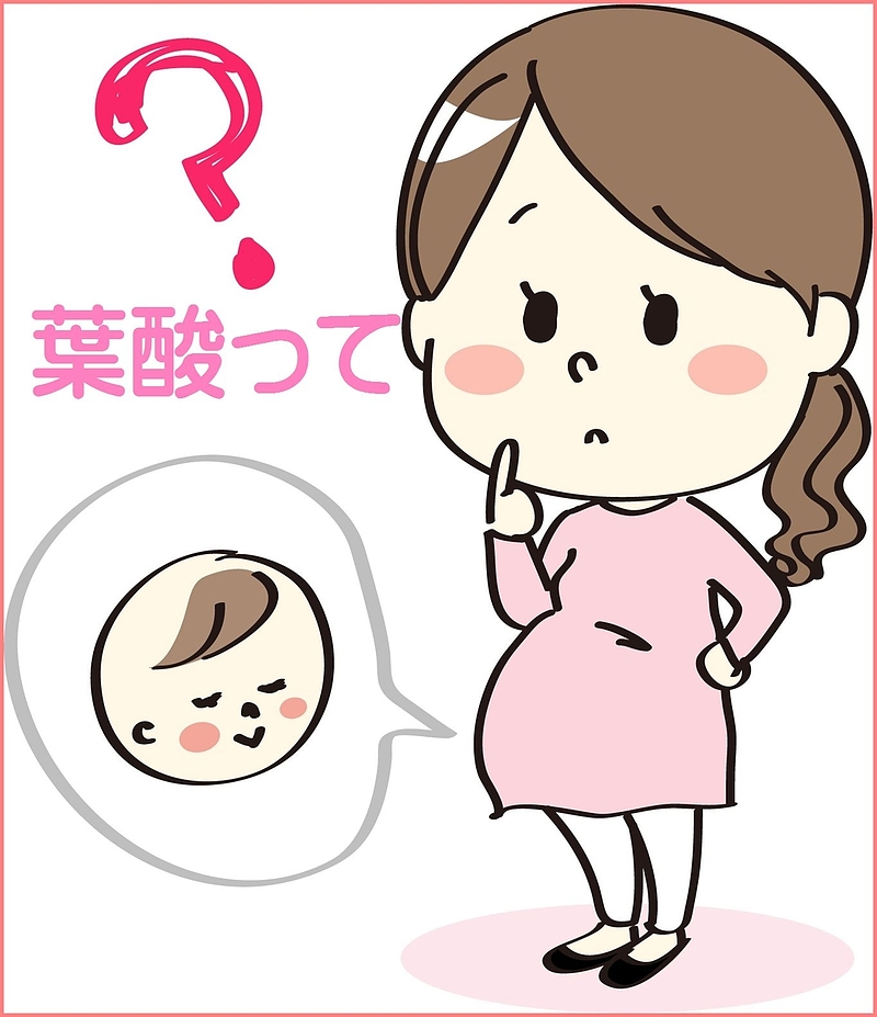 葉酸　妊娠　妊婦　サプリメント