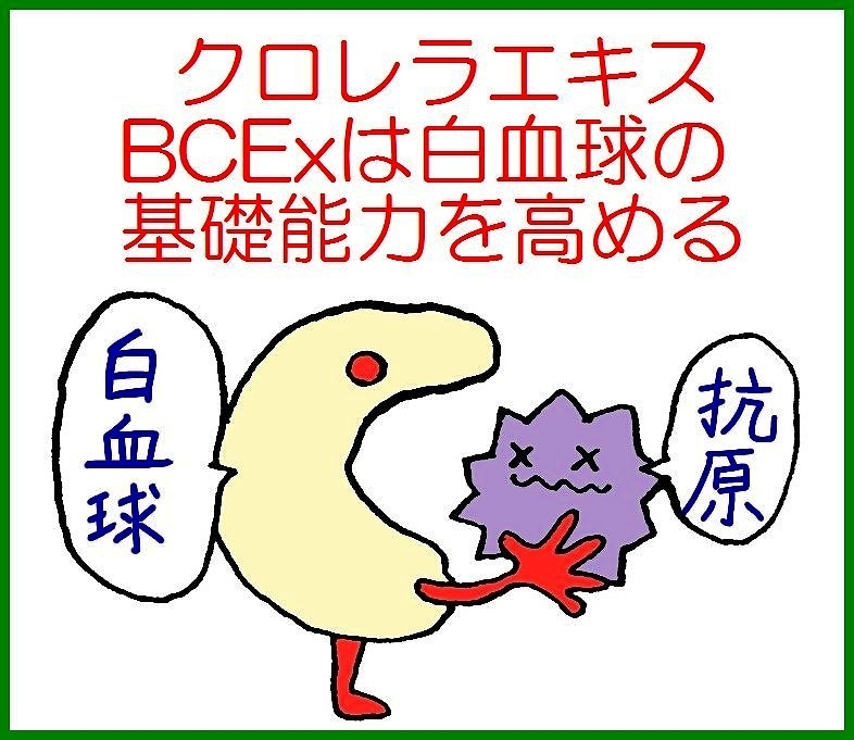 バイオリンク粒　バイオリンクBCEx顆粒　 バイオリンク503ドリンク