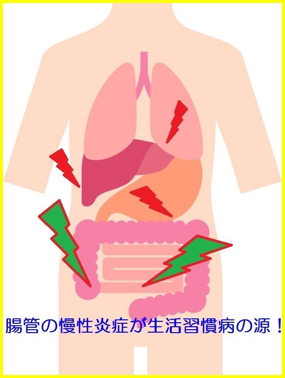 腸管の慢性炎症