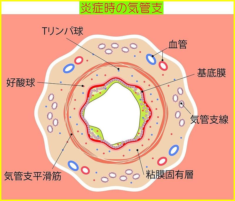 寒暖差咳　衛気　衛益顆粒