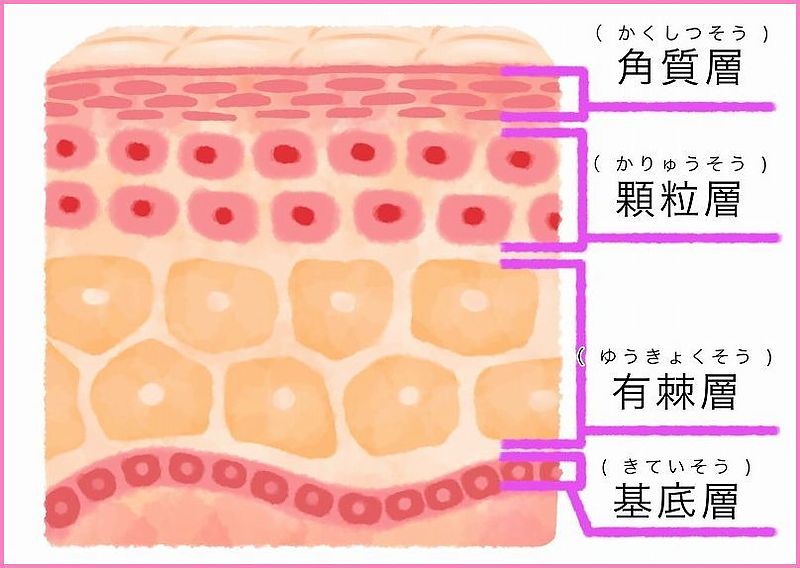 黄連阿膠湯