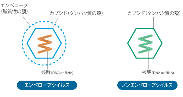 サメミロン