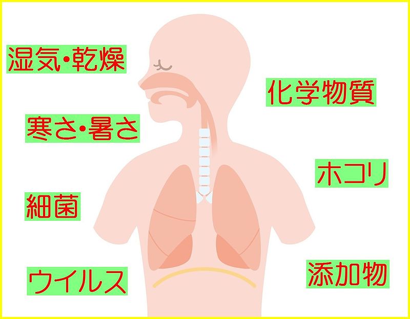 衛益顆粒