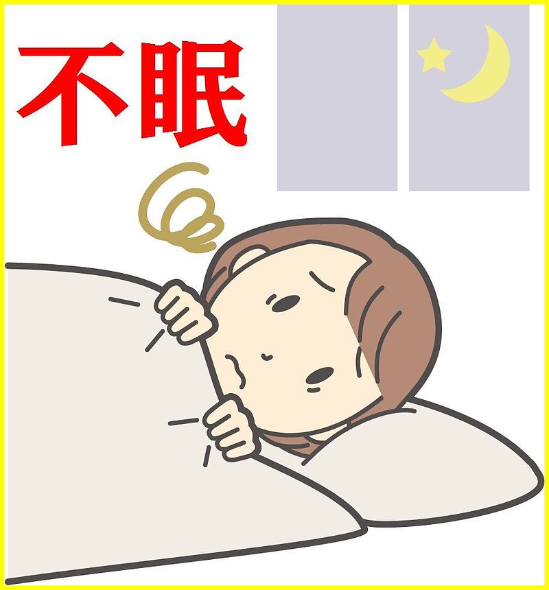 不眠　酸棗仁湯顆粒