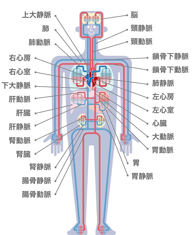 冠元顆粒　五浄心