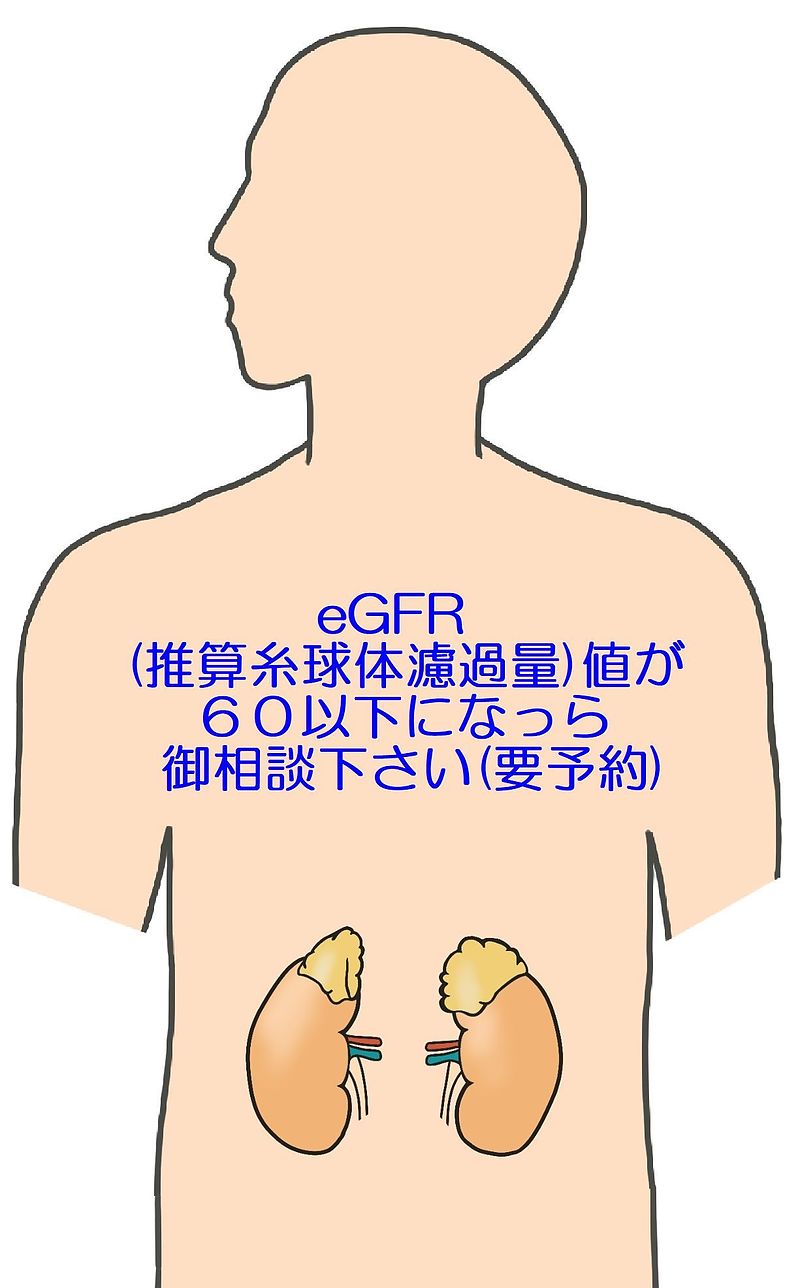 五浄心　冠元顆粒