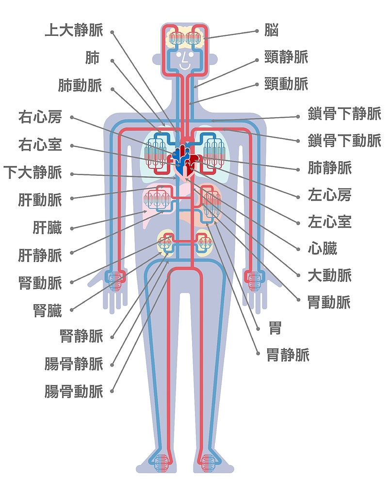 冠元顆粒