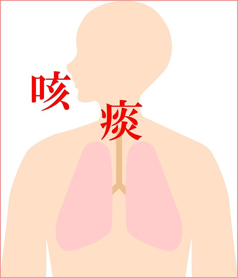 温胆湯　衛益顆粒