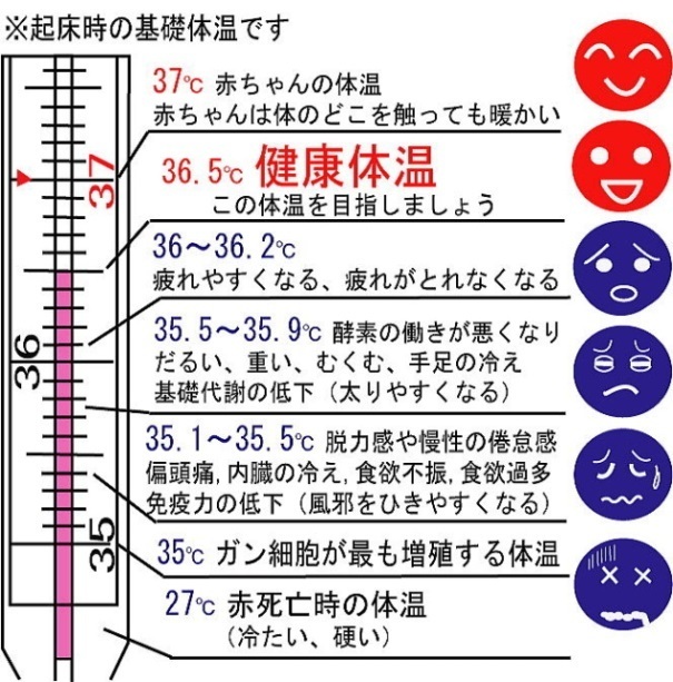 婦宝当帰膠