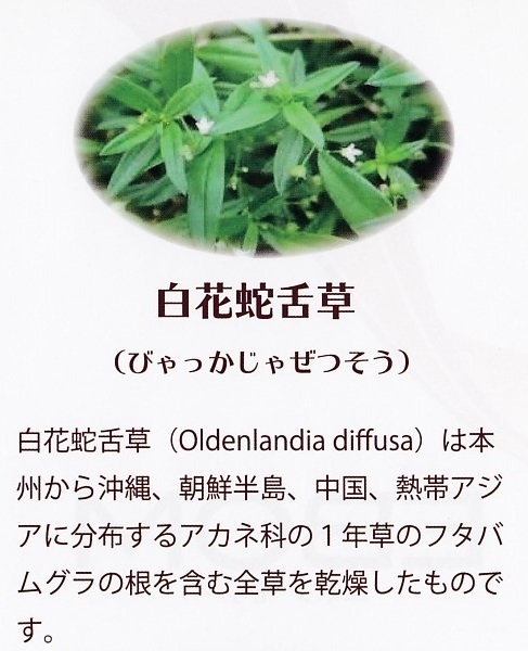 エボン・ゼリー　白花蛇舌草　半枝蓮