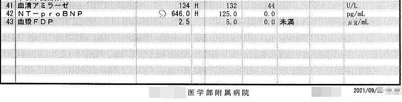 冠元顆粒　五浄心