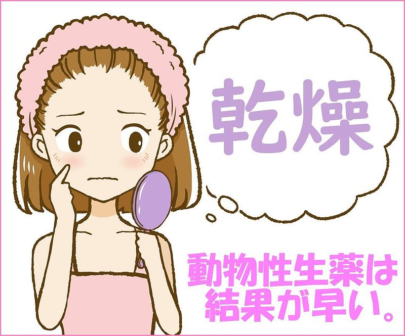 亀鹿仙　艶麗丹　婦宝当帰膠