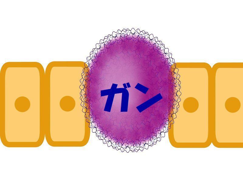 ガン　衛益顆粒　麦味参顆粒