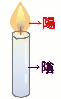 二至丹　杞菊地黄丸