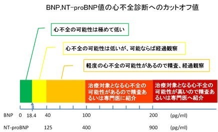 五浄心　冠元顆粒