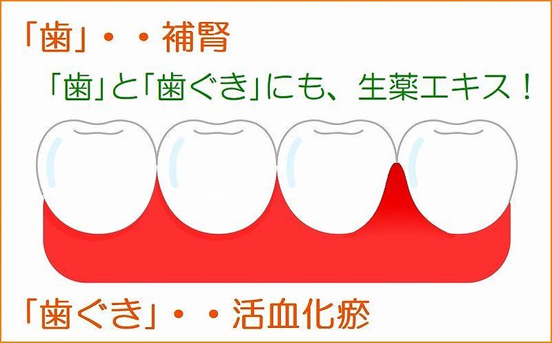 田七人参　五浄心　参馬補腎丸