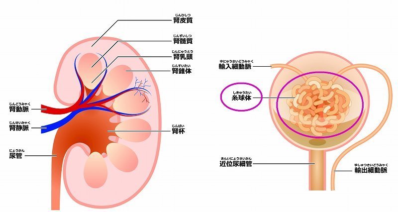 冠元顆粒　五浄心