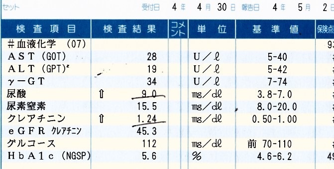 冠元顆粒　透析