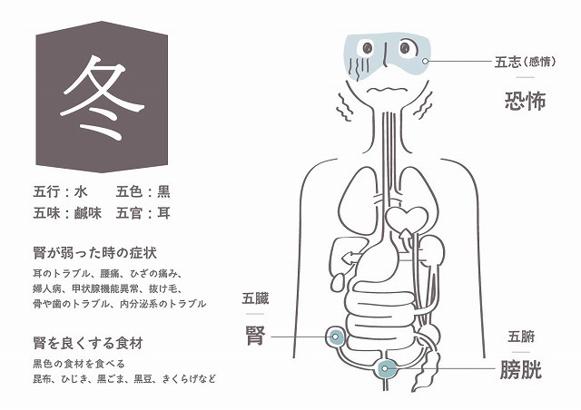 婦宝当帰膠　参茸補血丸