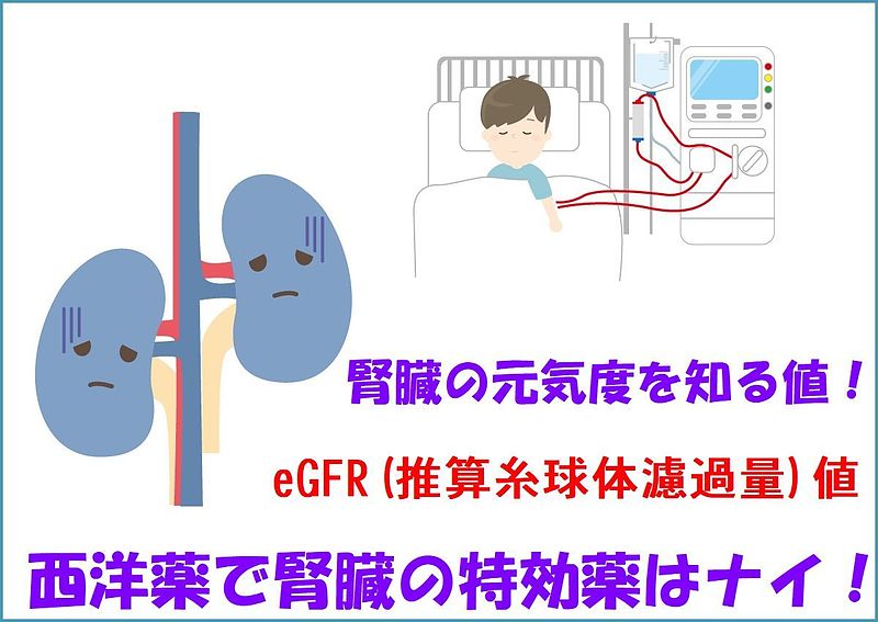 透析　五浄心　冠元顆粒　サメミロン