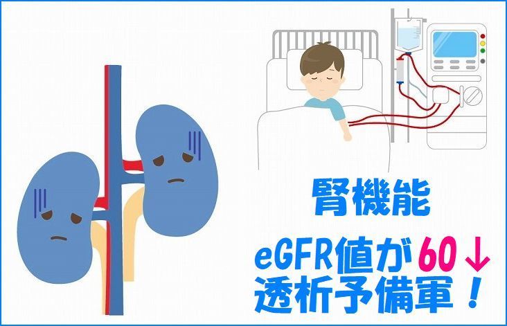 五浄心　サメミロン　冠元顆粒