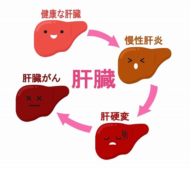 田七人参　サメミロン