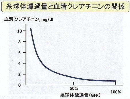 サメミロン　血液検査