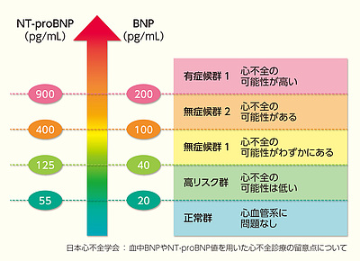NT-proBNP値