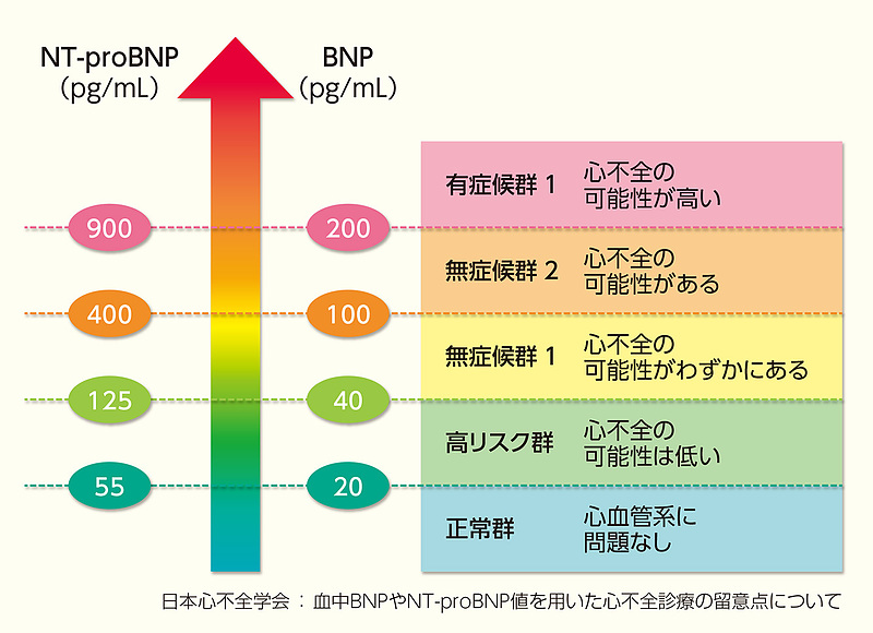 NT-proBNP値