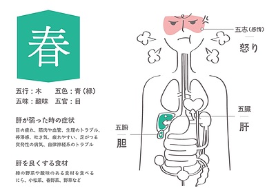 NHKカルチャー漢方養生訓