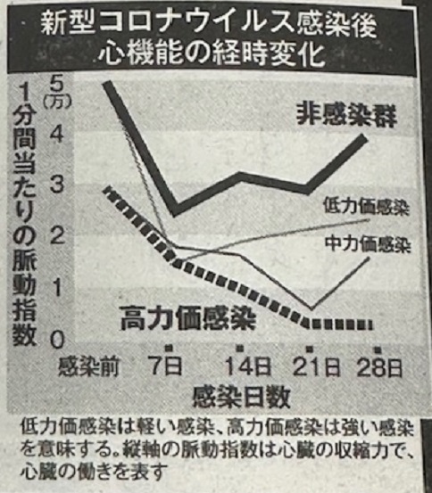 五浄心　冠元顆粒