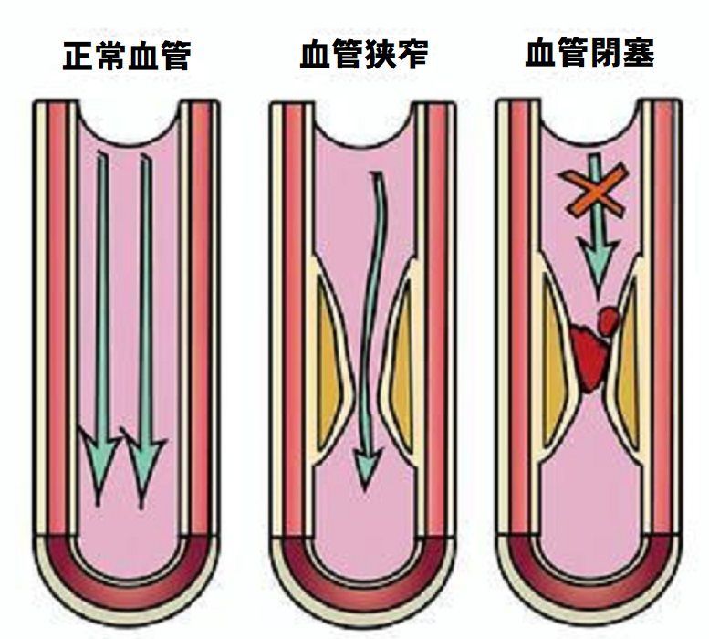 五浄心　冠元顆粒