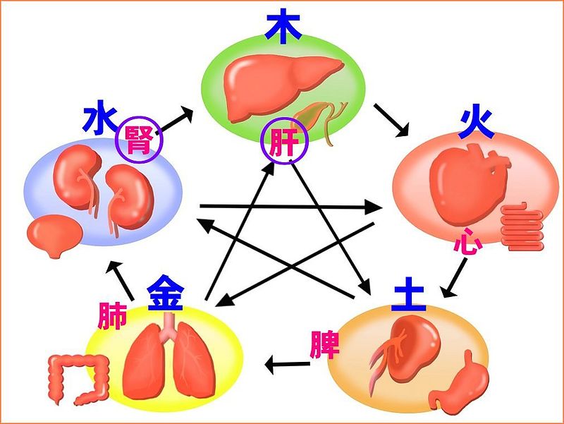 陰陽五行説