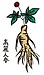 高麗人参の「白参」と「紅参」