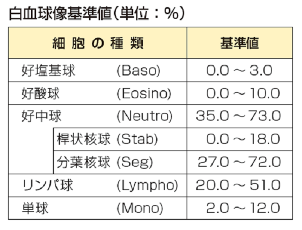 白血球分画