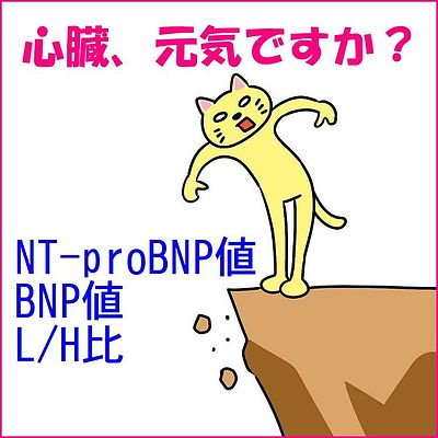 漢方養生訓　漢方の知恵で正しい食生活を「聞いて納得、知って健康」