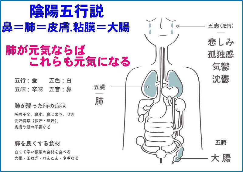 衛益顆粒　双料参茸丸