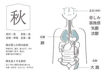 漢方養生訓　漢方の知恵で正しい食生活を「聞いて納得、知って健康」