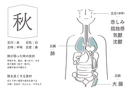 漢方養生訓　漢方の知恵で正しい食生活を「聞いて納得、知って健康」