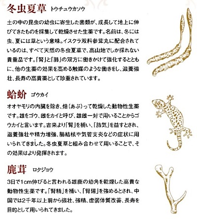 {肺を活き活きさせる動物性生薬}