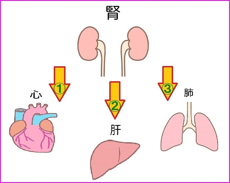 八味地黄丸