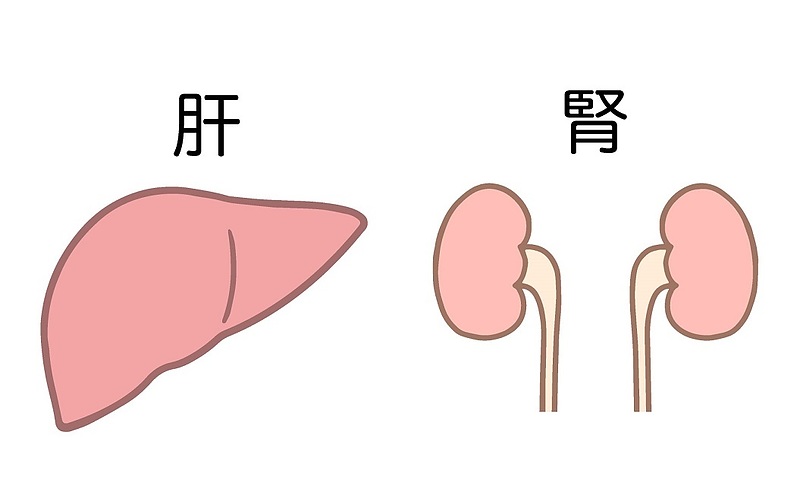 五浄心　五臓六腑