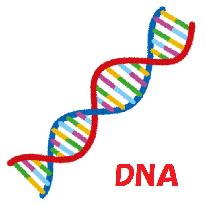 dna