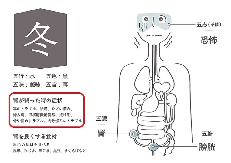 陰陽五行説