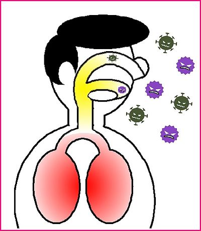 《流行っています「呼吸器感染症」》